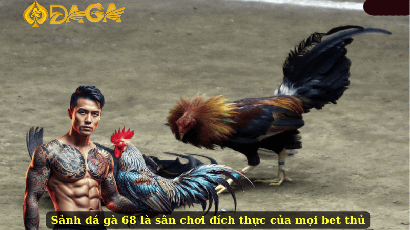 Sảnh đá gà 68 là sân chơi đích thực của mọi bet thủ
