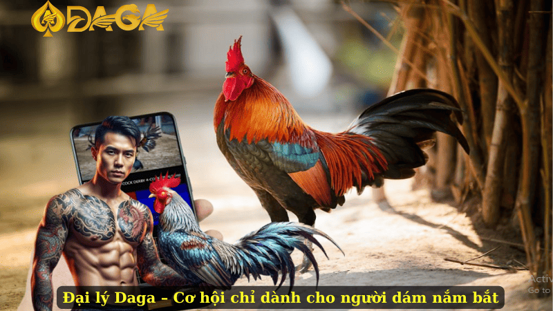 Đại lý Daga – Cơ hội chỉ dành cho người dám nắm bắt