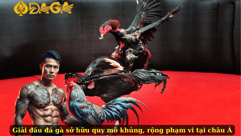 Giải đấu đá gà sở hữu quy mô khủng, rộng phạm vi tại châu Á