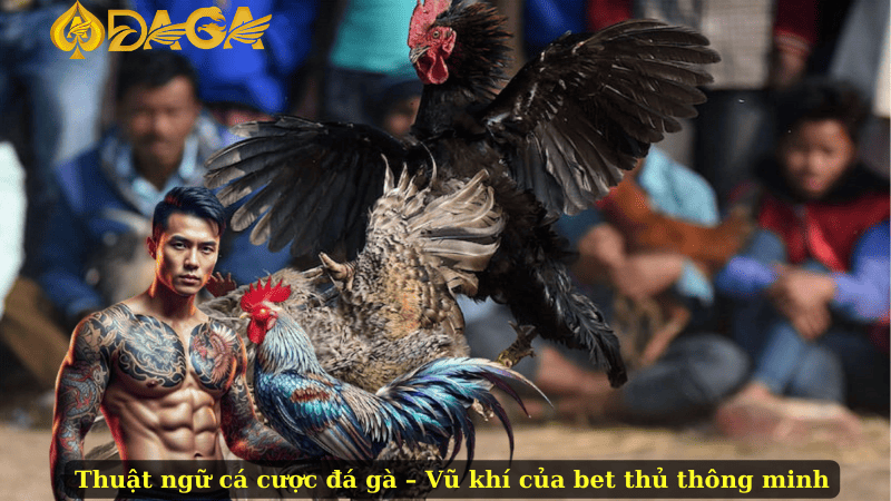 Thuật ngữ cá cược đá gà – Vũ khí của bet thủ thông minh