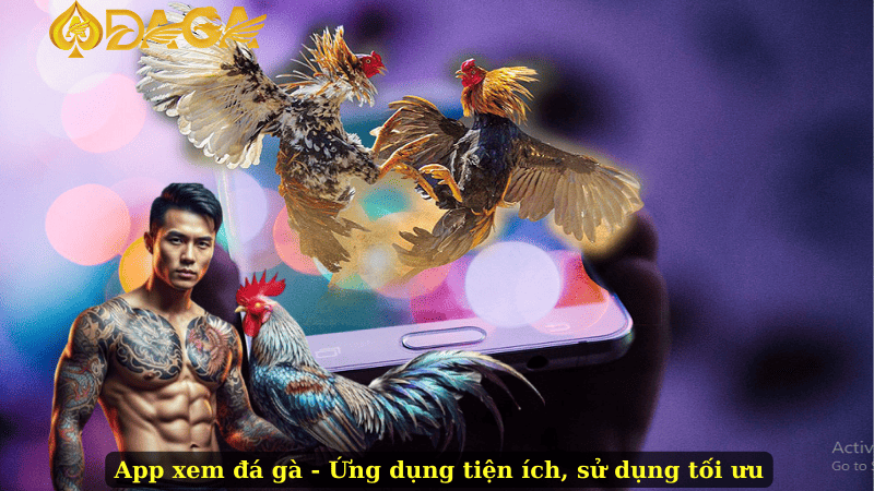 App xem đá gà - Ứng dụng tiện ích, sử dụng tối ưu