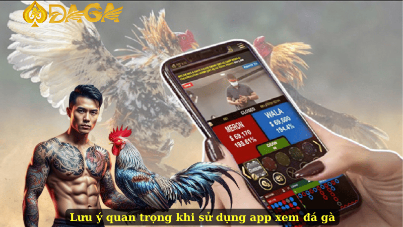 Lưu ý quan trọng khi sử dụng app xem đá gà