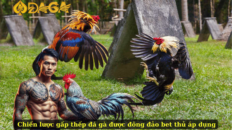 Chiến lược gấp thếp đá gà được đông đảo bet thủ áp dụng