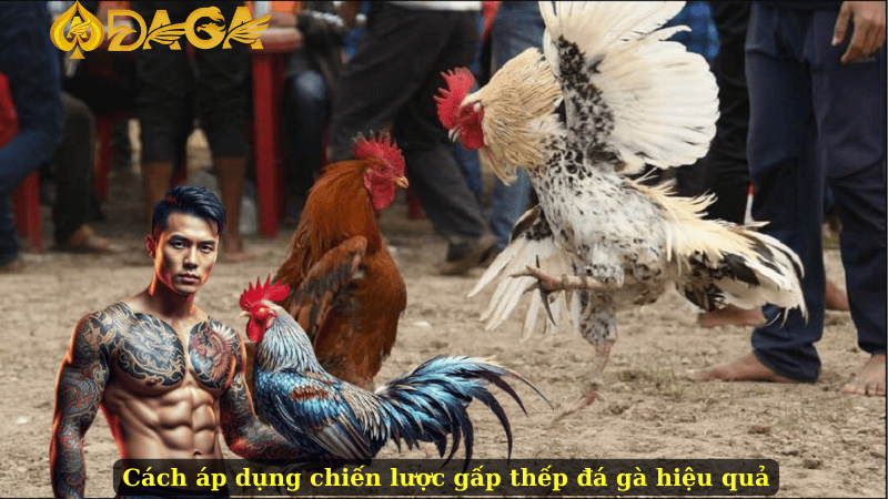 Cách áp dụng chiến lược gấp thếp đá gà hiệu quả