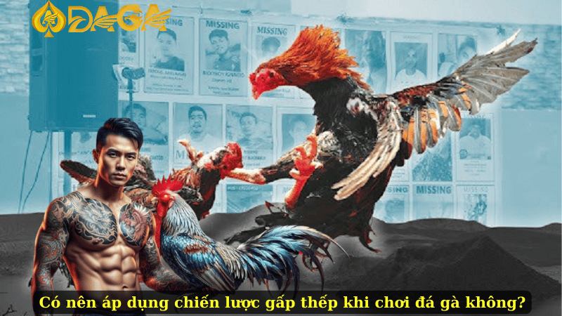 Có nên áp dụng chiến lược gấp thếp khi chơi đá gà không?