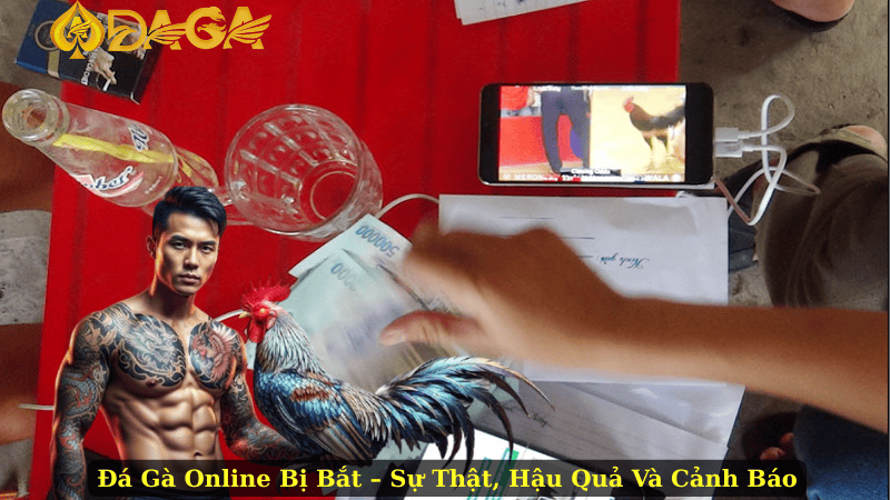 Đá Gà Online Bị Bắt – Sự Thật, Hậu Quả Và Cảnh Báo
