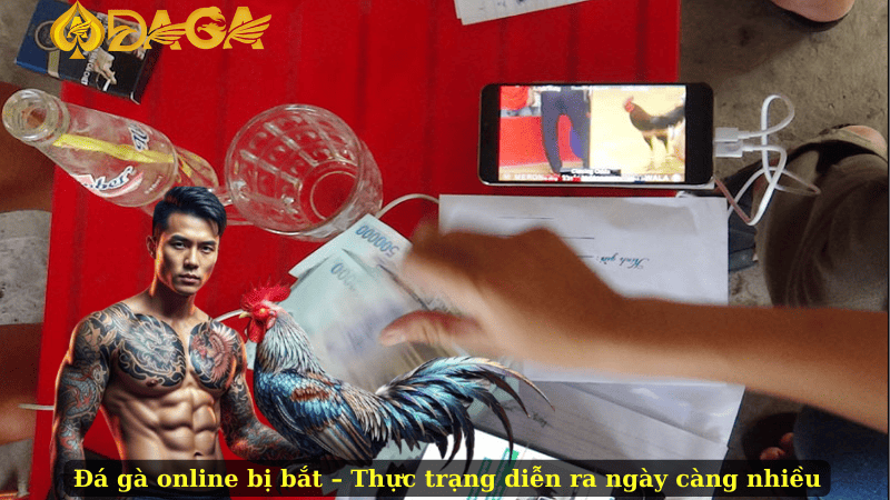 Đá gà online bị bắt – Thực trạng diễn ra ngày càng nhiều