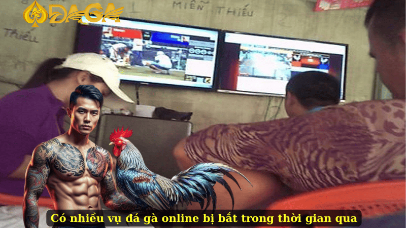 Có nhiều vụ đá gà online bị bắt trong thời gian qua