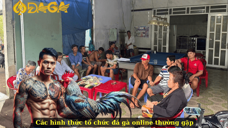 Các hình thức tổ chức đá gà online thường gặp