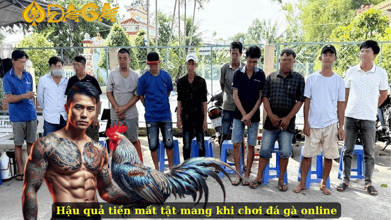 Hậu quả tiền mất tật mang khi chơi đá gà online