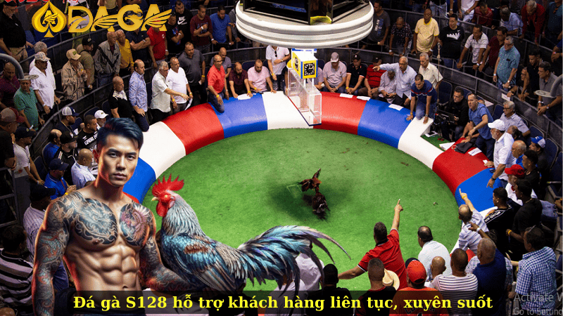 Đá gà S128 hỗ trợ khách hàng liên tục, xuyên suốt