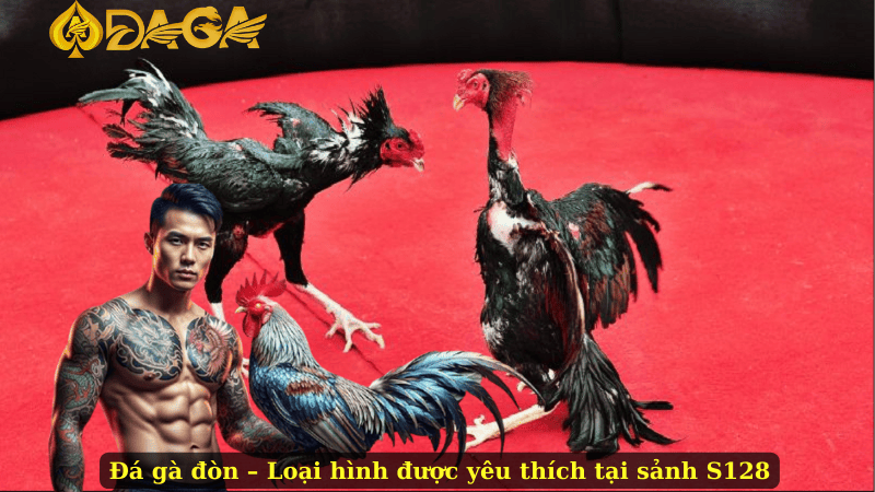 Đá gà đòn – Loại hình được yêu thích tại sảnh S128