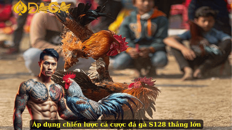 Áp dụng chiến lược cá cược đá gà S128 thắng lớn