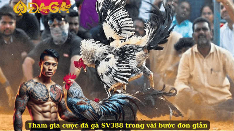 Tham gia cược đá gà SV388 trong vài bước đơn giản