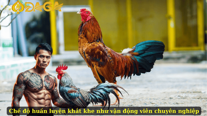 Chế độ huấn luyện khắt khe như vận động viên chuyên nghiệp