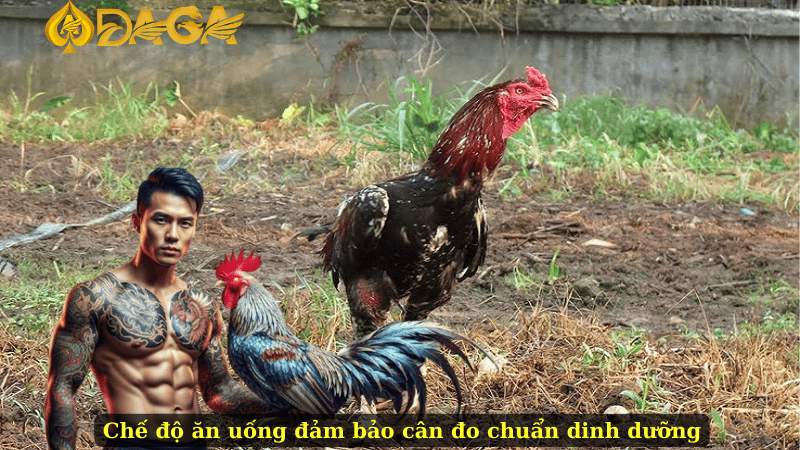 Chế độ ăn uống đảm bảo cân đo chuẩn dinh dưỡng