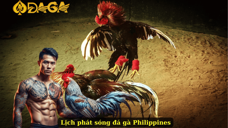 Lịch phát sóng đá gà Philippines