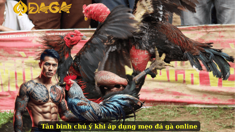 Tân binh chú ý khi áp dụng mẹo đá gà online