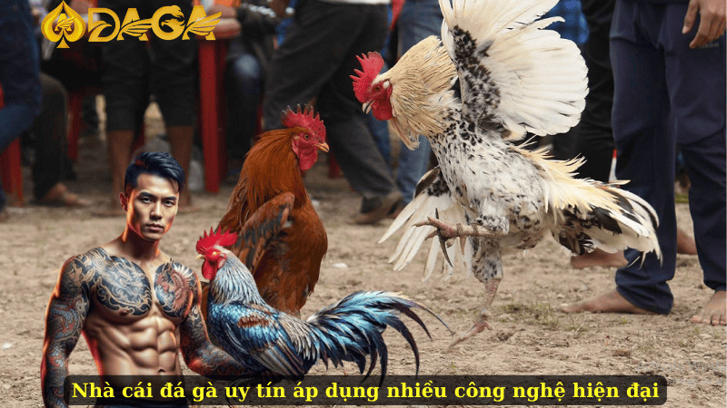 Nhà cái đá gà uy tín áp dụng nhiều công nghệ hiện đại