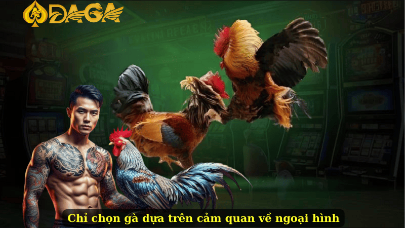 Chỉ chọn gà dựa trên cảm quan về ngoại hình