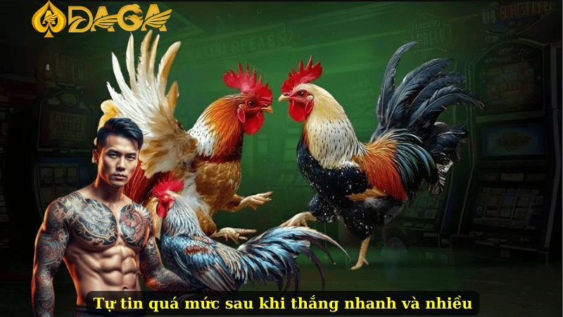 Tự tin quá mức sau khi thắng nhanh và nhiều