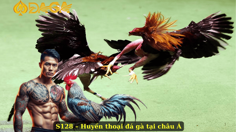 S128 – Huyền thoại đá gà tại châu Á