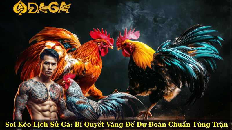 Soi Kèo Lịch Sử Gà: Bí Quyết Vàng Để Dự Đoán Chuẩn Từng Trận