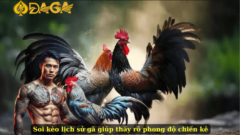 Soi kèo lịch sử gà giúp thấy rõ phong độ chiến kê