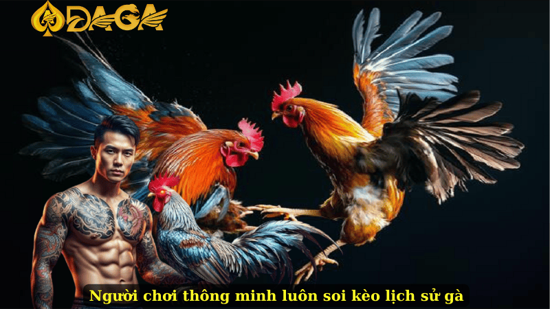 Người chơi thông minh luôn soi kèo lịch sử gà
