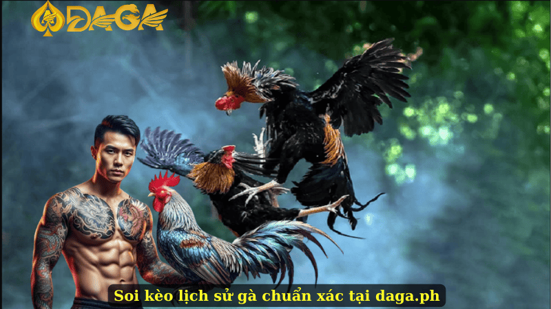 Soi kèo lịch sử gà chuẩn xác tại daga.ph