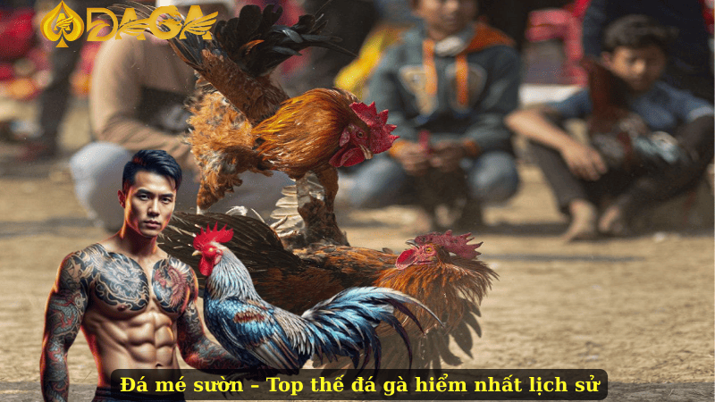 Đá mé sườn – Top thế đá gà hiểm nhất lịch sử