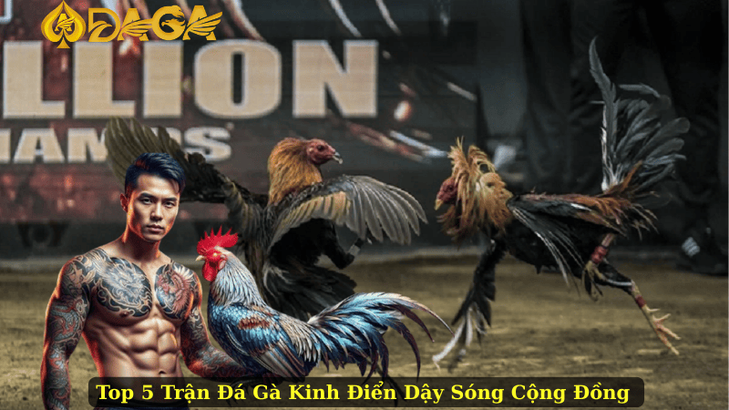 Top 5 Trận Đá Gà Kinh Điển Dậy Sóng Cộng Đồng 