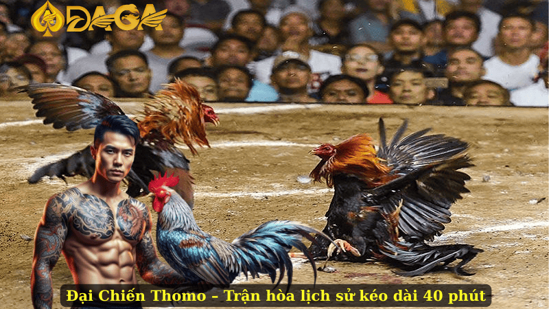 Đại Chiến Thomo – Trận hòa lịch sử kéo dài 40 phút
