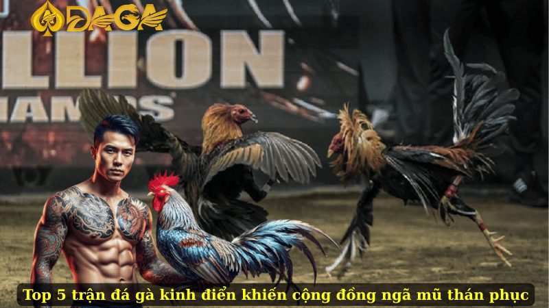 Top 5 trận đá gà kinh điển khiến cộng đồng ngã mũ thán phục