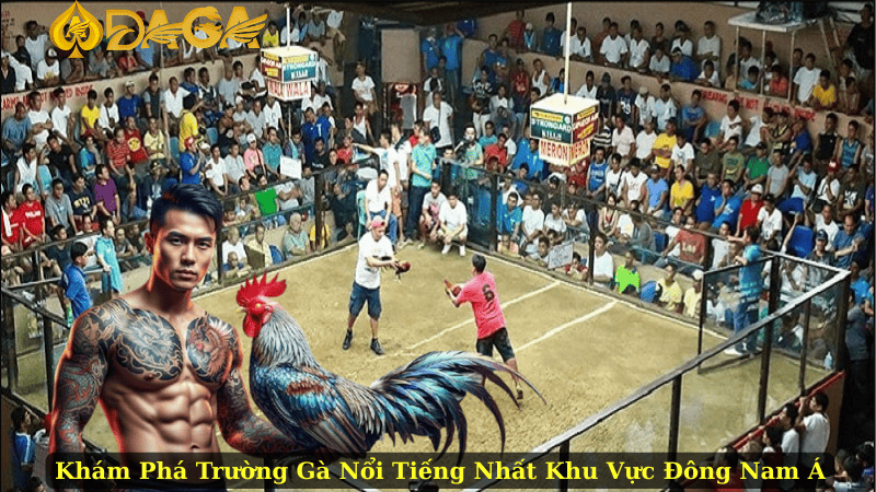 Khám Phá Trường Gà Nổi Tiếng Nhất Khu Vực Đông Nam Á