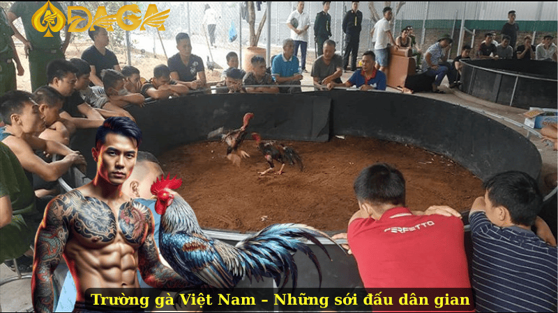 Trường gà Việt Nam – Những sới đấu dân gian