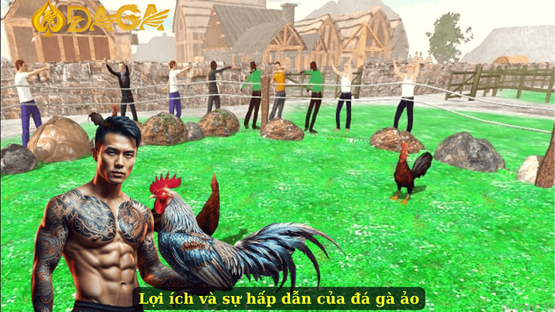 Lợi ích và sự hấp dẫn của đá gà ảo