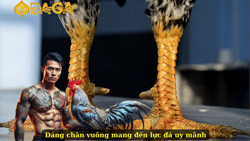 Dáng chân vuông mang đến lực đá uy mãnh