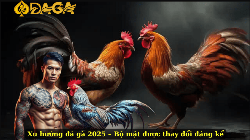 Xu hướng đá gà 2025 – Bộ mặt được thay đổi đáng kể