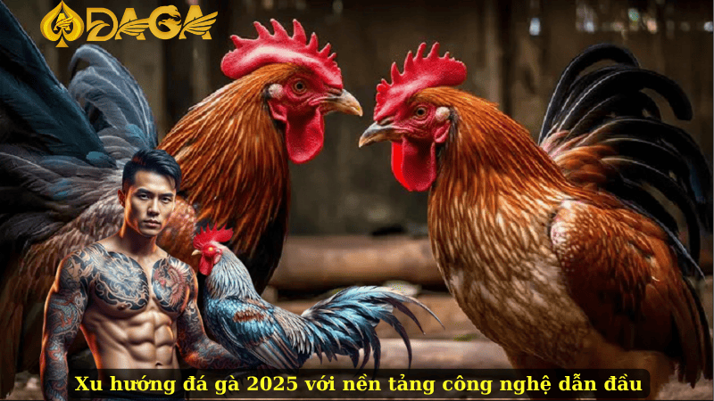Xu hướng đá gà 2025 với nền tảng công nghệ dẫn đầu