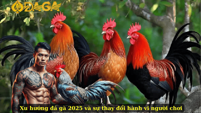 Xu hướng đá gà 2025 và sự thay đổi hành vi người chơi