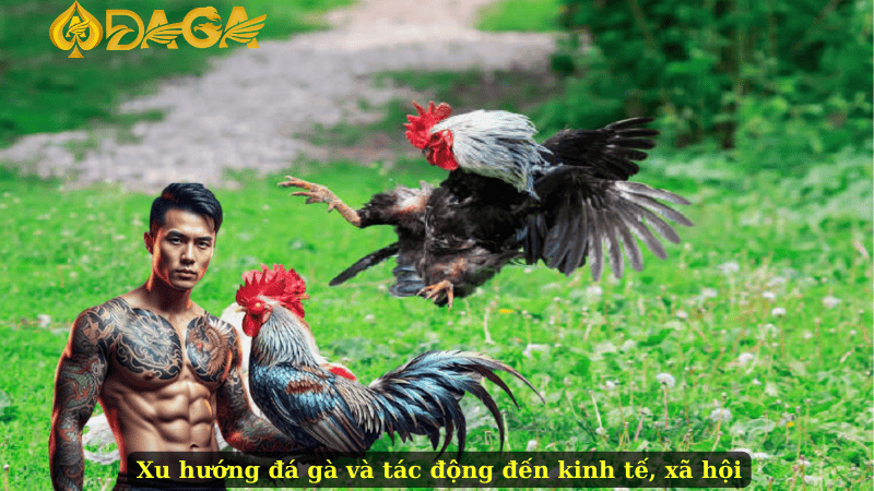 Xu hướng đá gà và tác động đến kinh tế, xã hội