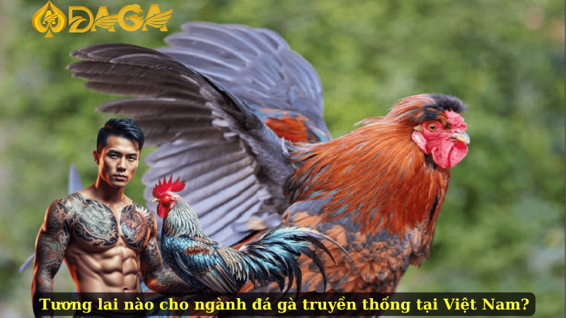 Tương lai nào cho ngành đá gà truyền thống tại Việt Nam?