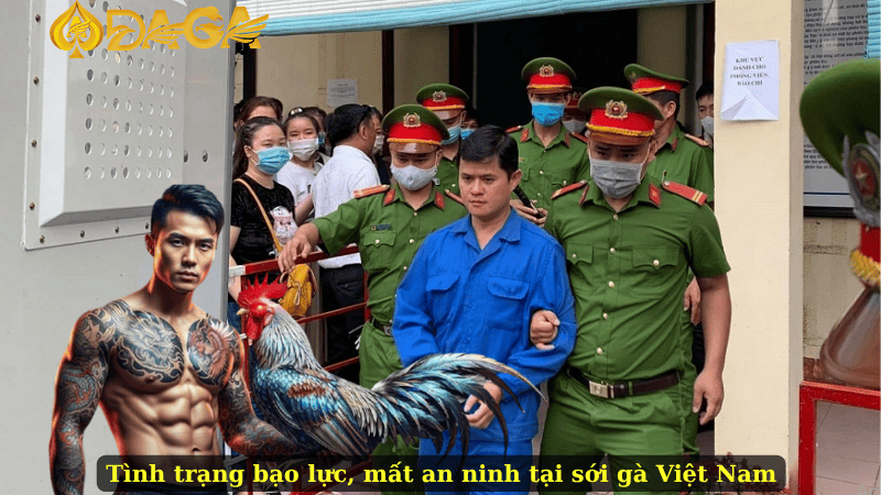 Tình trạng bạo lực, mất an ninh tại sới gà Việt Nam