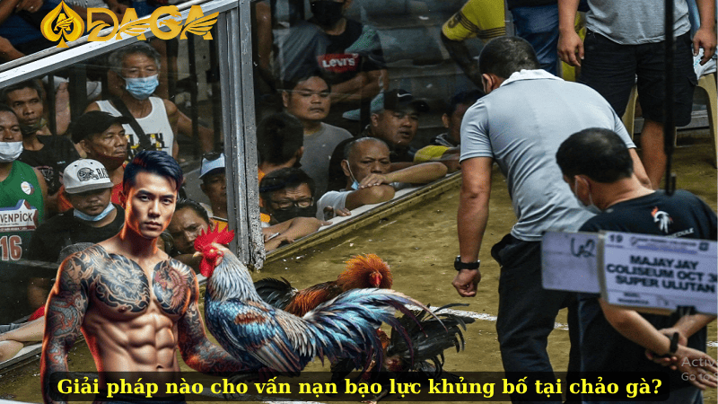 Giải pháp nào cho vấn nạn bạo lực khủng bố tại chảo gà?