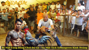 Bí Mật Cộng Đồng Chơi Đá Gà - Vụ Mất Tích Sabungeros Kinh Hoàng