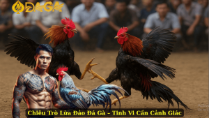 Chiêu Trò Lừa Đảo Đá Gà – Tinh Vi Cần Cảnh Giác