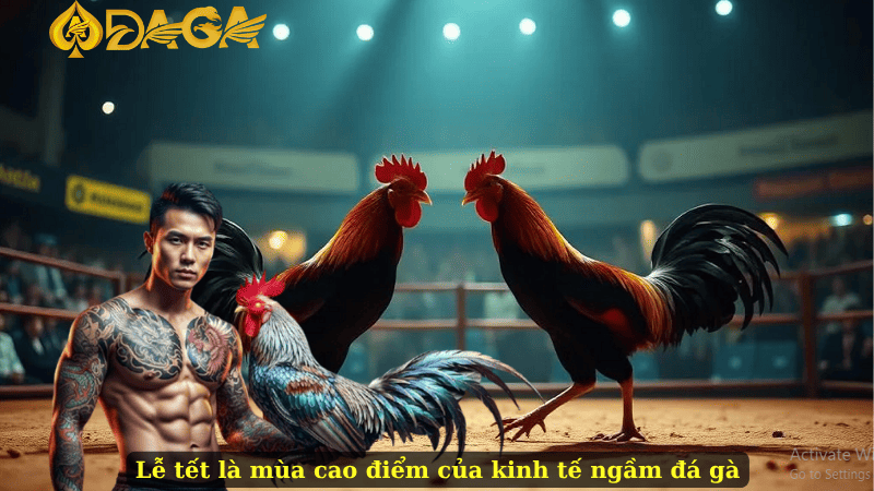 Lễ tết là mùa cao điểm của kinh tế ngầm đá gà