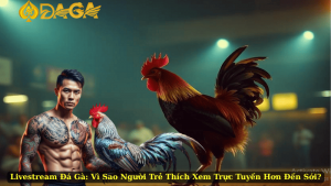 Livestream Đá Gà: Vì Sao Người Trẻ Thích Xem Trực Tuyến Hơn Đến Sới?