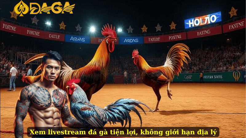 Xem livestream đá gà tiện lợi, không giới hạn địa lý